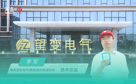 爱游戏x望变电气